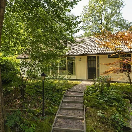Luxe 12-persoons Groepsvilla - Gelijkvloers Met Tuin & Loungeset