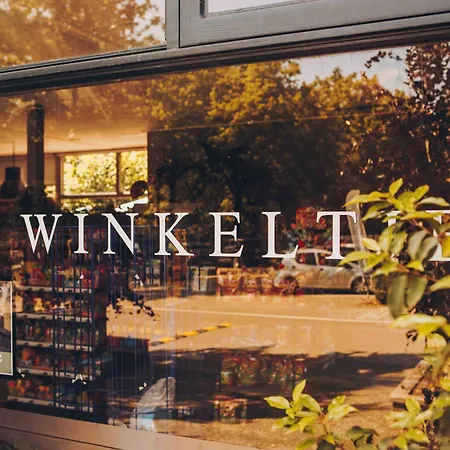 Villa Luxe 12-persoons Groepsvilla - Gelijkvloers Met Tuin & Loungeset *