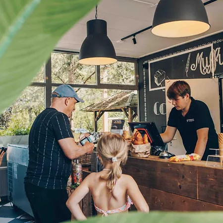 Luxe 12-persoons Groepsvilla - Gelijkvloers Met Tuin & Loungeset